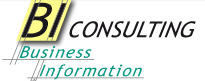 Business-Information CONSULTING