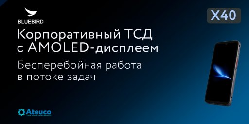 Корпоративный ТСД Bluebird X40