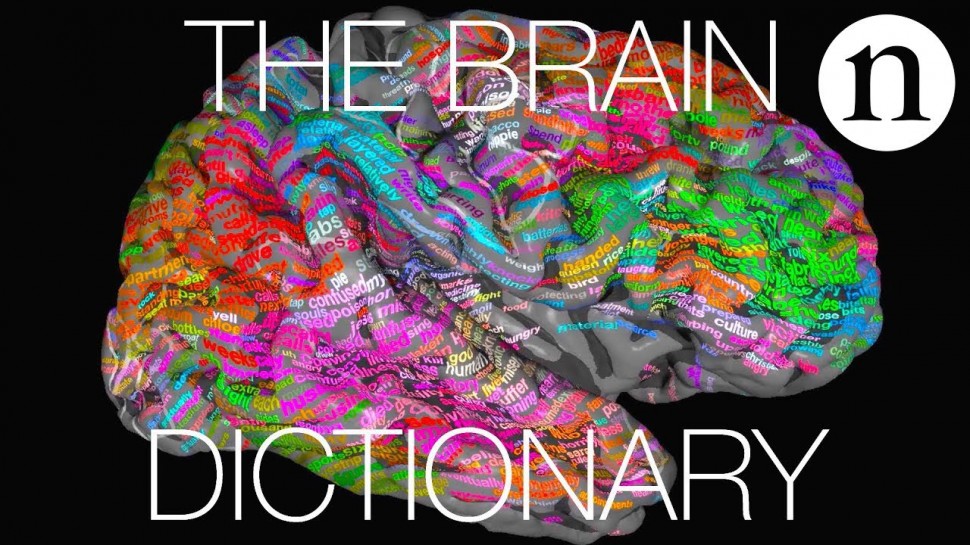 The brain dictionary
