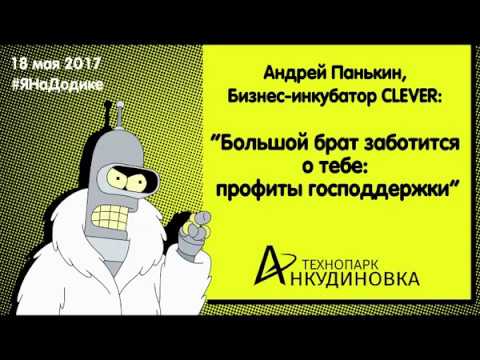 ​Технопарк «Анкудиновка»: Андрей Панькин - профиты господдержки