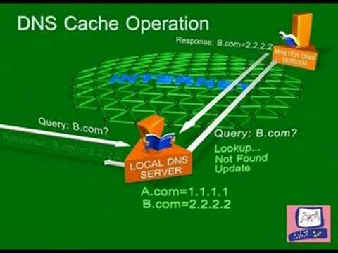 Check Point: DNS Cache Poisoning Attack | Internet Security