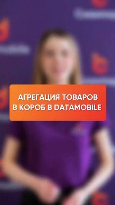 Сканпорт: Агрегация товаров в короб с помощью DataMobile - видео