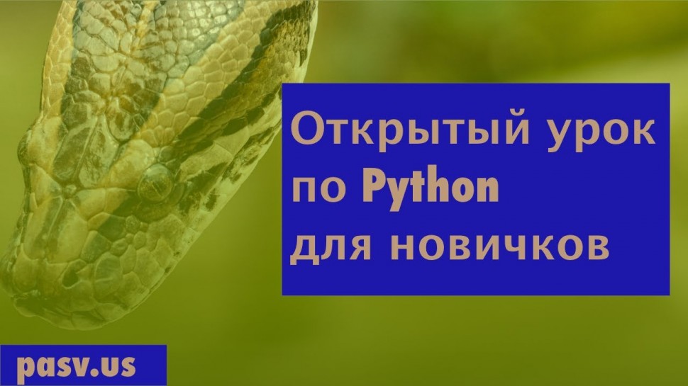 Python: Открытый урок Python для новичков // PASV - видео