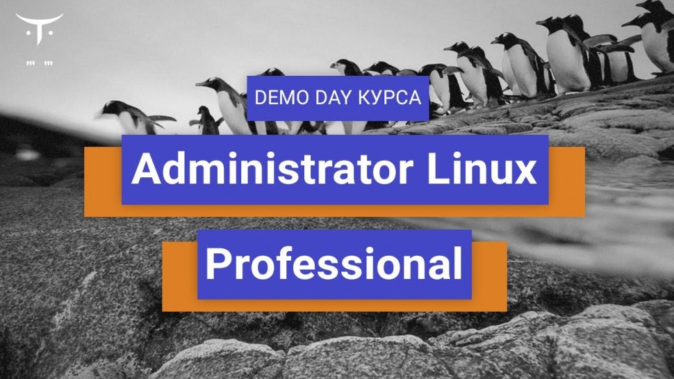 DevOps: Demo day курса «Administrator Linux. Professional» - видео