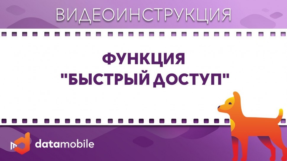 СКАНПОРТ: DataMobile 3: Функция "Быстрый доступ"