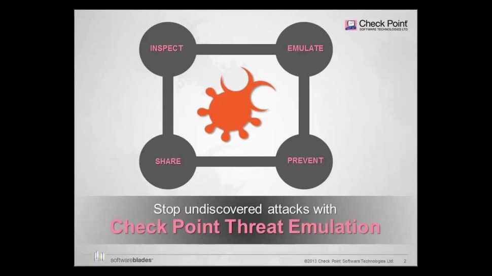 Check Point: DDoS Protector - Technical Overview | DDoS Protection