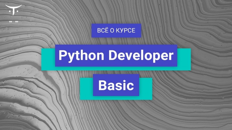 PHP: Python Developer. Basic // День открытых дверей OTUS - видео