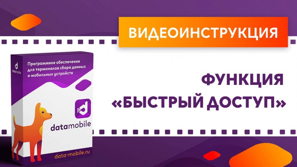 Сканпорт: DataMobile. Функция «Быстрый доступ» - видео