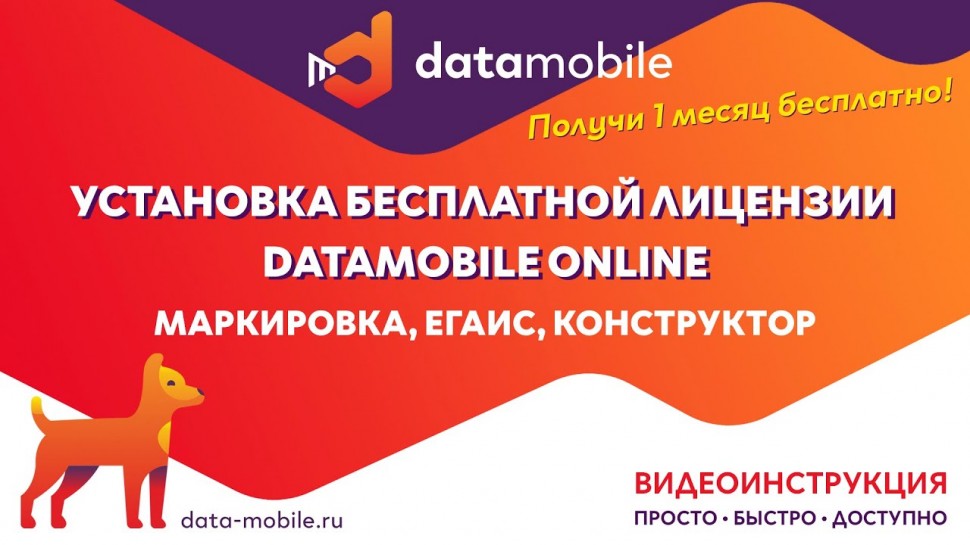 СКАНПОРТ: Инструкция активации бесплатной лицензии DataMobile Online с модулями Маркировка, ЕГАИС, К