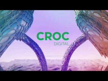 ​КРОК: CROC Digital - новый консалтинговый бизнес в КРОК