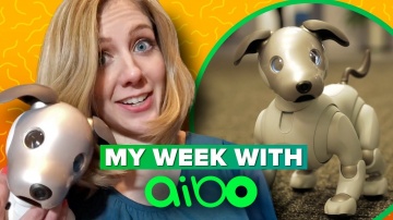 CNET: Sony Aibo: what it's like to live with a robot dog