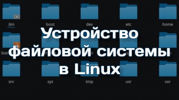 Структура файлов и каталогов в Linux - видео