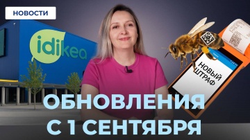 МойСклад: Штрафы за Кассу // Маркировка пчел // Новый маркетплейс! - видео