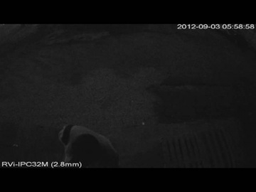 Layta: RVi-IPC32M (ночная съёмка) - IP-камера видеонаблюдения купольная антивандальная