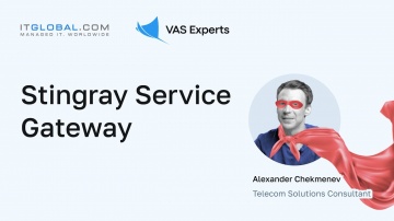 ITGLOBAL: Stingray Service Gateway presentation - видео