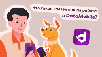 Сканпорт: Коллективная работа в DataMobile &mdash; быстрее без пересечений
