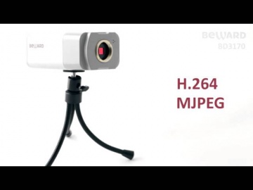 Layta: Beward BD3170 (обзор) - IP-камера видеонаблюдения в стандартном исполнении
