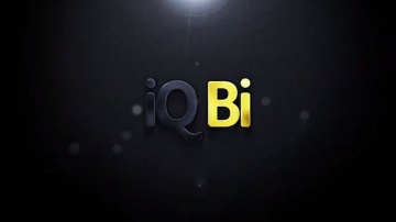 IQBI: Онлайн курс Аналитик BI. Обучение Power BI и DAX. - видео