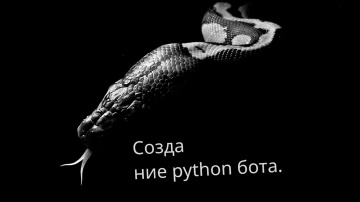 Python: Создание простого бота на python! Программирование на python. ; ) - видео