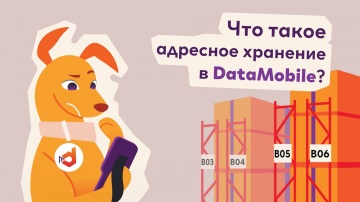Сканпорт: Адресное хранение в DataMobile &mdash; порядок на складе и быстрый поиск товаров