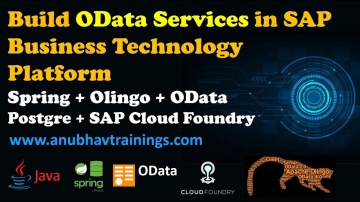 J: SAP Business Technology Platform Training | Build OData using Java in Cloud Foundry | Olingo-Spri