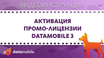 СКАНПОРТ: DataMobile 3: Активация Промо Лицензии