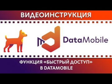 СКАНПОРТ: DataMobile: Урок № 39. Функция "Быстрый доступ" в DataMobile